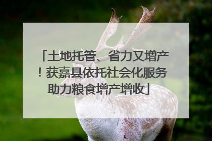 土地托管、省力又增产！获嘉县依托社会化服务助力粮食增产增收