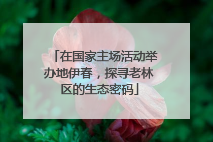 在国家主场活动举办地伊春，探寻老林区的生态密码