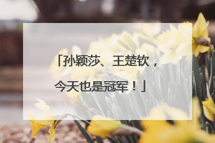 孙颖莎、王楚钦，今天也是冠军！