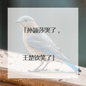 孙颖莎哭了，王楚钦笑了