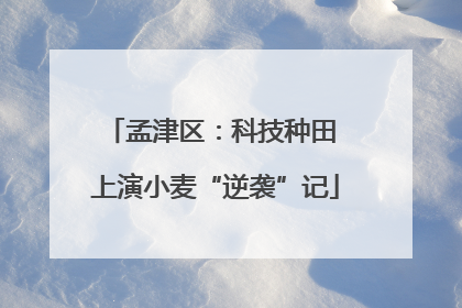孟津区：科技种田 上演小麦“逆袭”记