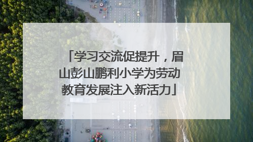 学习交流促提升，眉山彭山鹏利小学为劳动教育发展注入新活力