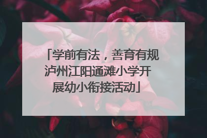 学前有法，善育有规 泸州江阳通滩小学开展幼小衔接活动
