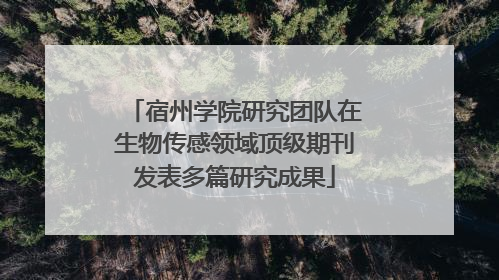 宿州学院研究团队在生物传感领域顶级期刊发表多篇研究成果