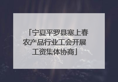 宁夏平罗县塞上春农产品行业工会开展工资集体协商