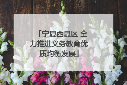 宁夏西夏区 全力推进义务教育优质均衡发展