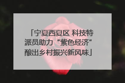 宁夏西夏区 科技特派员助力“紫色经济”酿出乡村振兴新风味