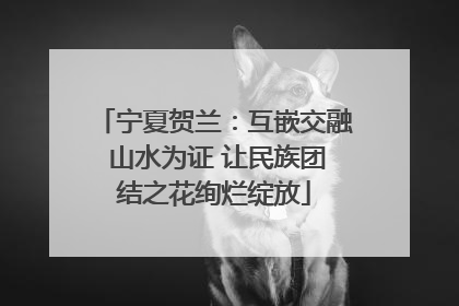 宁夏贺兰：互嵌交融 山水为证 让民族团结之花绚烂绽放