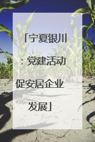 宁夏银川：党建活动促安居企业发展