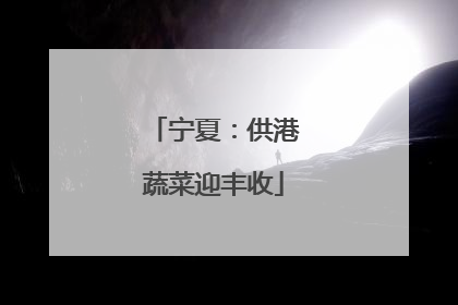 宁夏：供港蔬菜迎丰收