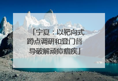 宁夏：以靶向式蹲点调研和登门督导破解顽瘴痼疾