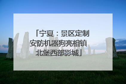 宁夏：景区定制安防机器狗亮相镇北堡西部影城