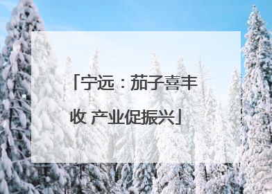 宁远：茄子喜丰收 产业促振兴