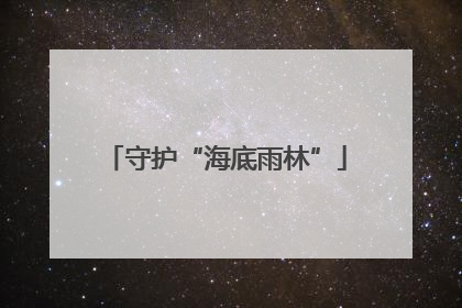 守护“海底雨林”