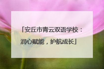 安丘市青云双语学校：润心赋能，护航成长