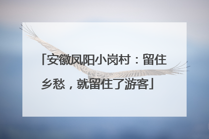 安徽凤阳小岗村：留住乡愁，就留住了游客