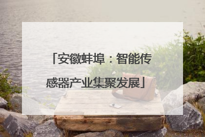 安徽蚌埠：智能传感器产业集聚发展