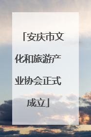 安庆市文化和旅游产业协会正式成立