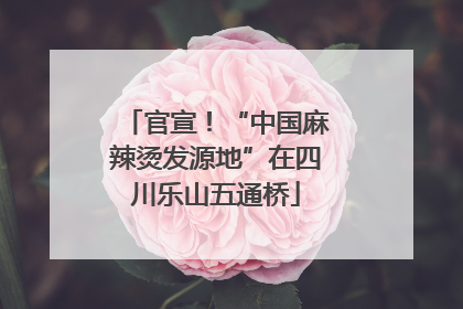 官宣！“中国麻辣烫发源地”在四川乐山五通桥