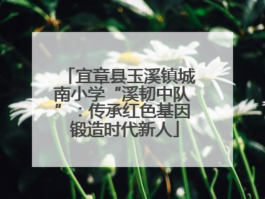 宜章县玉溪镇城南小学“溪韧中队”：传承红色基因 锻造时代新人