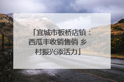 宜城市板桥店镇：西瓜丰收销售俏 乡村振兴添活力