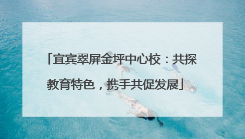 宜宾翠屏金坪中心校：共探教育特色，携手共促发展