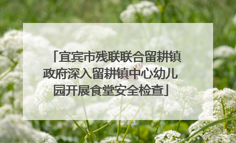 宜宾市残联联合留耕镇政府深入留耕镇中心幼儿园开展食堂安全检查