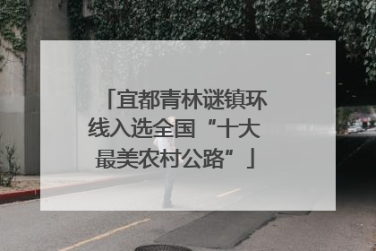 宜都青林谜镇环线入选全国“十大最美农村公路”