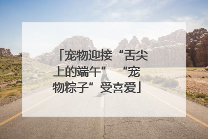 宠物迎接“舌尖上的端午” “宠物粽子”受喜爱