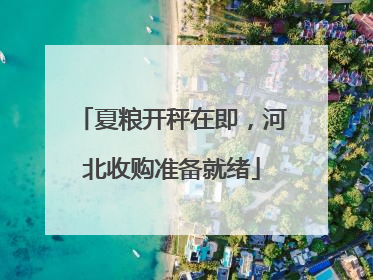 夏粮开秤在即，河北收购准备就绪