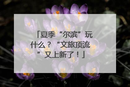 夏季“尔滨”玩什么？“文旅顶流”又上新了！