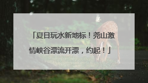 夏日玩水新地标！尧山激情峡谷漂流开漂，约起！