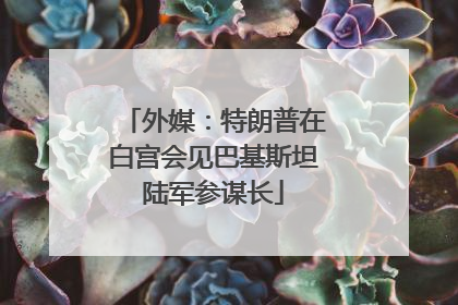 外媒：特朗普在白宫会见巴基斯坦陆军参谋长