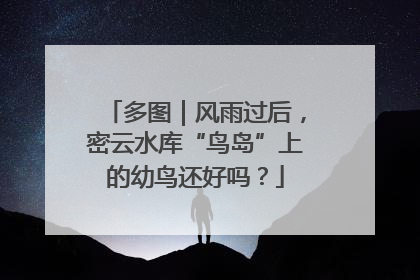 多图｜风雨过后，密云水库“鸟岛”上的幼鸟还好吗？