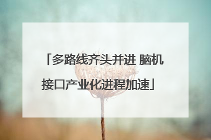 多路线齐头并进 脑机接口产业化进程加速