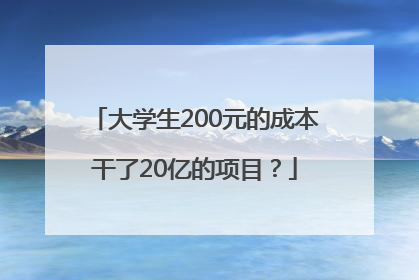 大学生200元的成本干了20亿的项目？