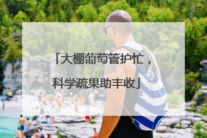 大棚葡萄管护忙，科学疏果助丰收
