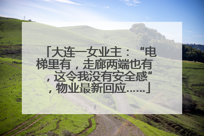大连一女业主：“电梯里有，走廊两端也有，这令我没有安全感”，物业最新回应……