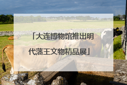 大连博物馆推出明代藩王文物精品展