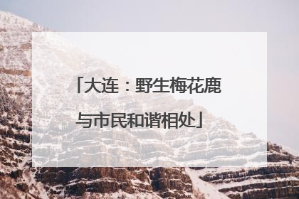 大连：野生梅花鹿与市民和谐相处