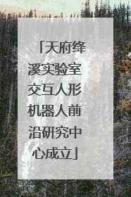 天府绛溪实验室交互人形机器人前沿研究中心成立