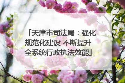 天津市司法局：强化规范化建设 不断提升全系统行政执法效能