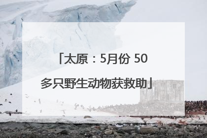 太原：5月份 50多只野生动物获救助