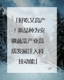 好吃又高产！新品种为安徽蔬菜产业高质发展注入科技动能