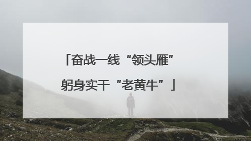 奋战一线“领头雁” 躬身实干“老黄牛”