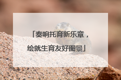 奏响托育新乐章，绘就生育友好图景