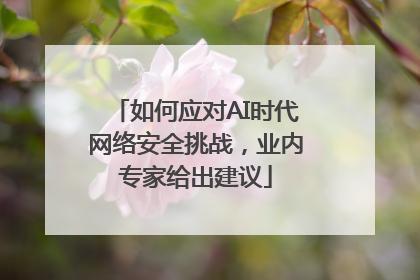如何应对AI时代网络安全挑战，业内专家给出建议