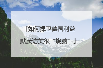 如何捍卫德国利益 默茨访美很“烧脑”
