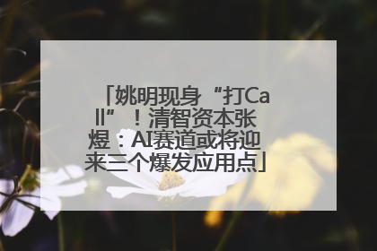 姚明现身“打Call”！清智资本张煜：AI赛道或将迎来三个爆发应用点