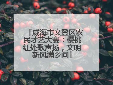 威海市文登区农民才艺大赛：樱桃红处歌声扬，文明新风满乡间